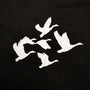 Waterfowl